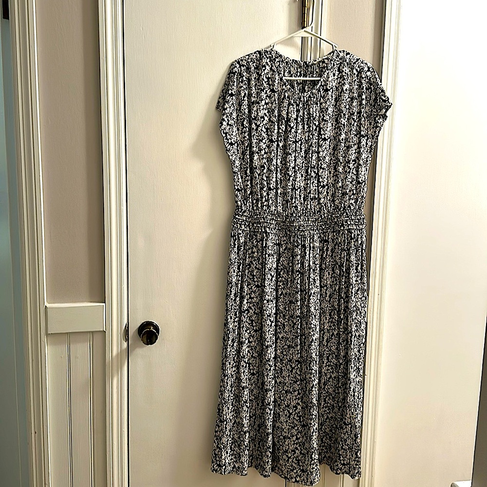 Everlane Gathered Midi Dress